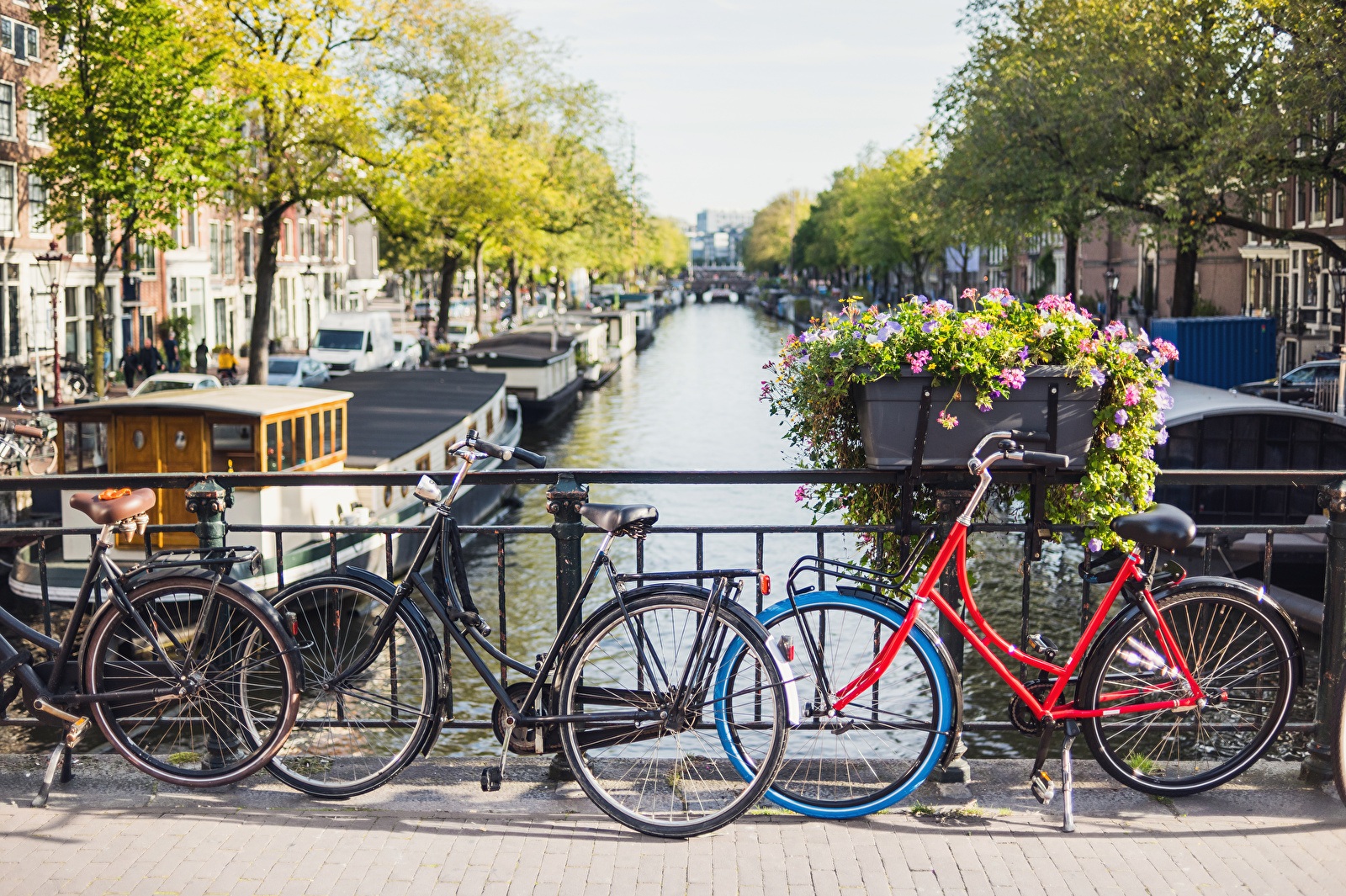 Cycling on a bridge with a view of a canal in Amsterdam, surrounded by trees, houseboats, and flowers.