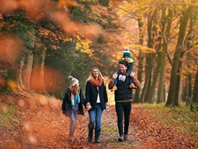 Machen Sie das Beste aus dem Herbst