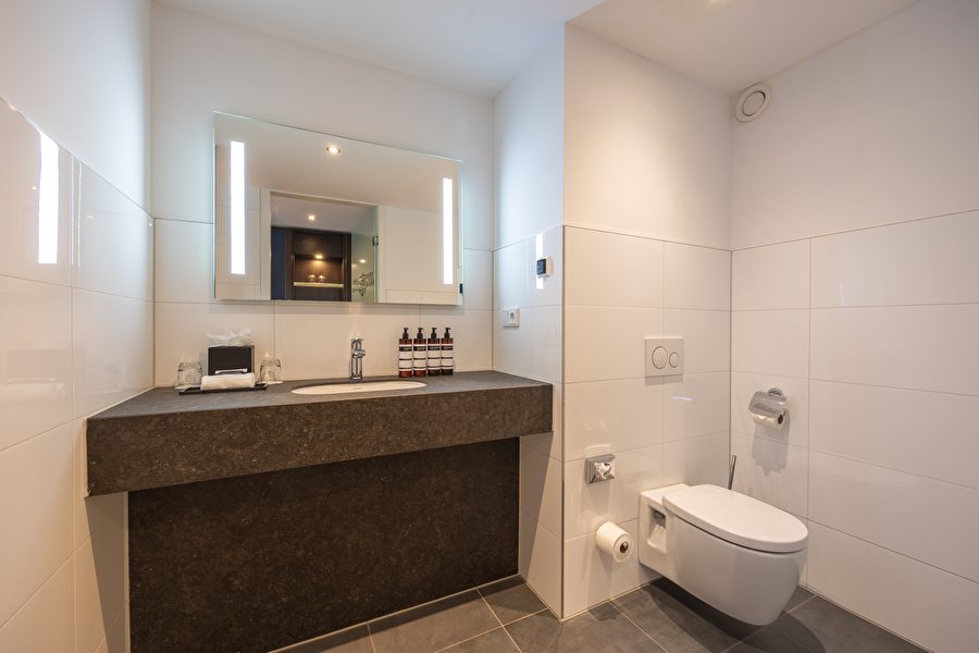 Modern bathroom of the Single Room with spacious sink and toilet.